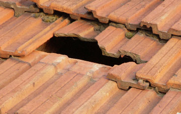 roof repair Finsthwaite, Cumbria