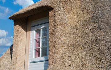 Finsthwaite thatch roof disadvantages